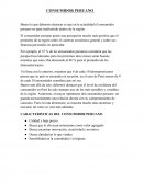 CONSUMIDOR PERUANO.