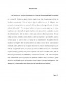 Esta investigación se enfoca directamente en el tema del desempeño del policía municipal en la ciudad de Mexicali