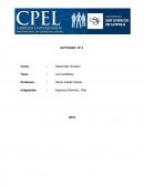 Organizaciones. Los Conflictos