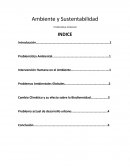 Que es la Problemática Ambiental