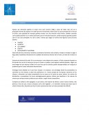 Análisis de la comercial