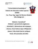 Precalculo pensamiento algebraico