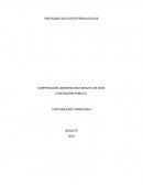 Enfoques Socio-Epistemologíco Contable