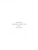 Como la Tecnología es aplicada a la contabilidad y Finanzas