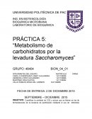  Metabolismo de carbohidratos por la levadura Saccharomyces