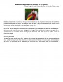 Cuales son los Mamiferos en peligro de extincion