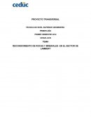 RECONOCIMIENTO DE ROCAS Y MINERALES EN EL SECTOR DE LAMBERT