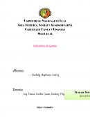 El Ejercicio Completo de Indicadores de Gestión