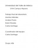 ¿Cuáles son las variables que coinciden o influyen en la caída de una pelota de caucho desde diferentes alturas?