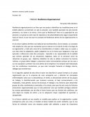 Resiliencia Organizacional