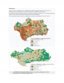 Cartografia REPRESENTACIONES GRÁFICAS