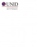 La gran Ley Suprema en Derecho Constitucional