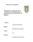 Como es un Protocolo de Investigacion