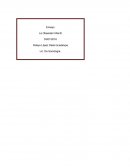 Como se da el Mini ensayo sobre obesidad infantil