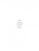 Contabilidad. ESTRUCTURA DEL BALANCE