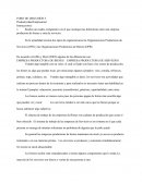 Que es la Productividad Empresarial