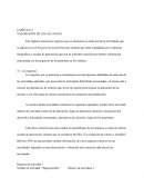 Capitulo 3 valoracion de los alcances