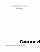 Ejemplo fácil de un planteamiento del problema.Causas del mal funcionamiento de un calentador de agua
