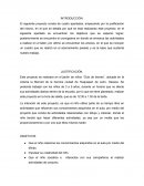 En el jardín de niños “Club de leones”