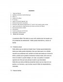 Cuales son las Comunicaciones