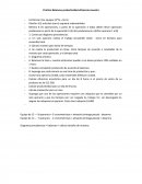 Práctica Balanceo-productividad-eficiencia-muestra