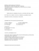 INSPECCIÓN DE LA PRIMERA ETAPA DE LA CONSTRUCCIÓN DEL CAMPO DE FUTBOL