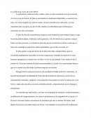 EL NIÑO SALVAJE DE AVEYRON