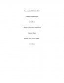 Tarea Este tema será analizado a través de las siguientes preguntas dirigidas, las deberán responder y remitir en un máximo de tres páginas.