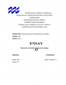 CENTRAL LOCAL GUARICO/ VALLE DE LA PASCUA.