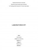 Realiza un listado que incluya diferentes receptores eléctricos que tengas en casa.
