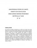 Un Ensayo sociologia