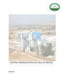CENTRAL TERMOELECTRICA DEL VALLE DE MEXICO