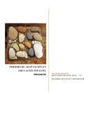 PERIODO DE ADAPTACIÓN EN EDUCACION INFANTIL