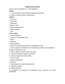 INGRESO DEL PACIENTE