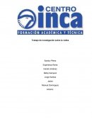 Trabajo de investigación sobre la vodka