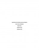 Importancia del sistema persona-máquina