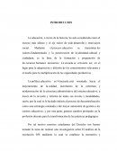 Tesis resolucion 058 INTRODUCCION