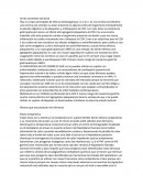 Hay 2 su tipos principales de COX la cliclooxigenasa