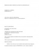 PROPUESTA DE PRÁCTICAS PROFESIONALES.