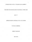 HIPERTENSION ARTERIAL EN EL ECUADOR