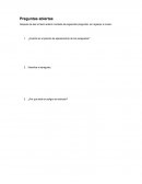 Fisica Preguntas abiertas