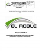 PROCEDIMIENTO TRABAJO SEGURO COLOCACIÓN DE MOLDAJE Y HORMIGONADO DE LOSA PUENTE JAUN SOLDADO