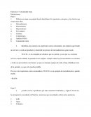 Ejercicio 2. Consumidor meta TELCEL