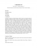 Resumen. Carbohidratos