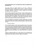 EVALUACIÓN SINÓPTICA DE LOS PRINCIPALES IMPACTOS AMBIENTALES DE PROYECTOS.