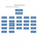 Organigrama Estructura Organizacional