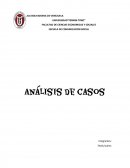 ANÁLISIS DE CASOS organizacion