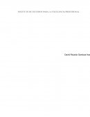 Analisis de la pedagogia constructivista