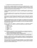 Descripción de las vocaciones productivas de tu Estado