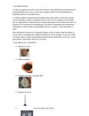 Informe de Biologia. Materia organica